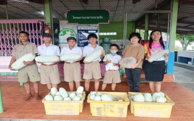 โรงเรียนวัดใหญ่จอมปราสาท ขอขอบคุณคุณครูสุทธิรัตน์ คุ่ยสวัสดิ์  ที่ให้ความกรุณามอบฟักแฟง ฟักทอง